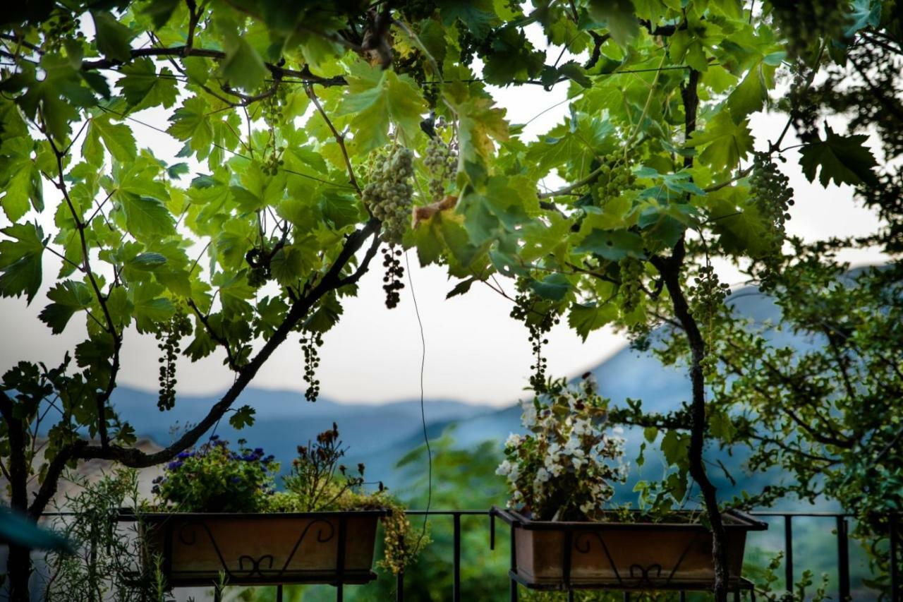 Lavistadeisogni Filippone Celano Εξωτερικό φωτογραφία